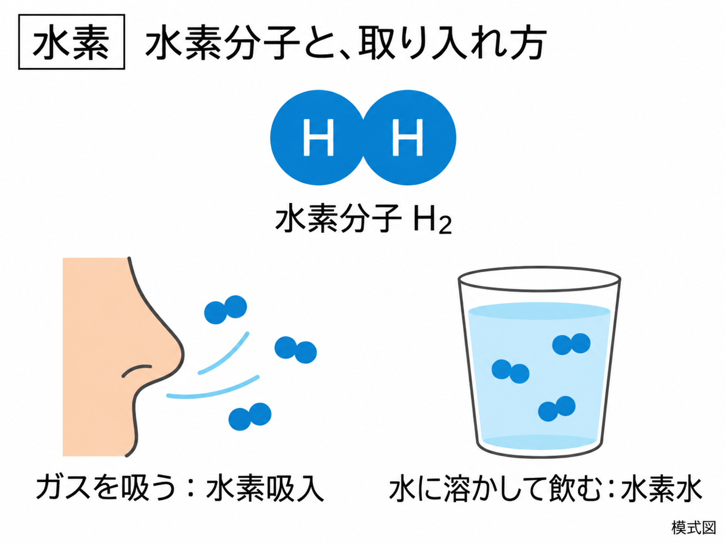 水素分子と取り入れ方の解説図