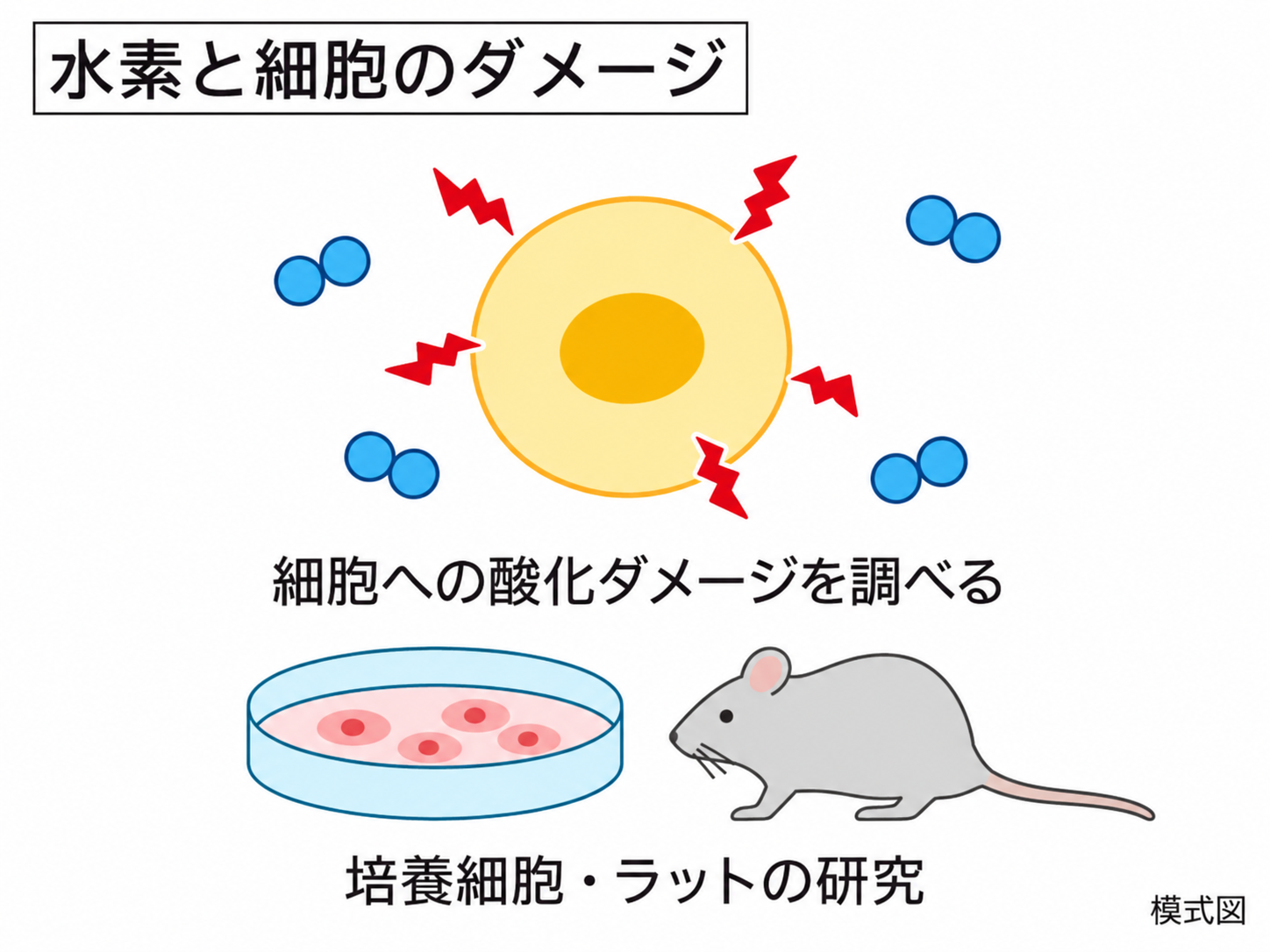 水素と細胞の酸化ダメージの解説図