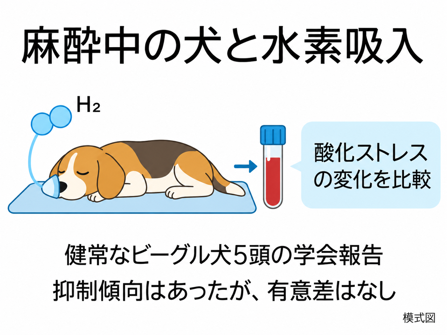 麻酔中の犬と水素吸入の解説図