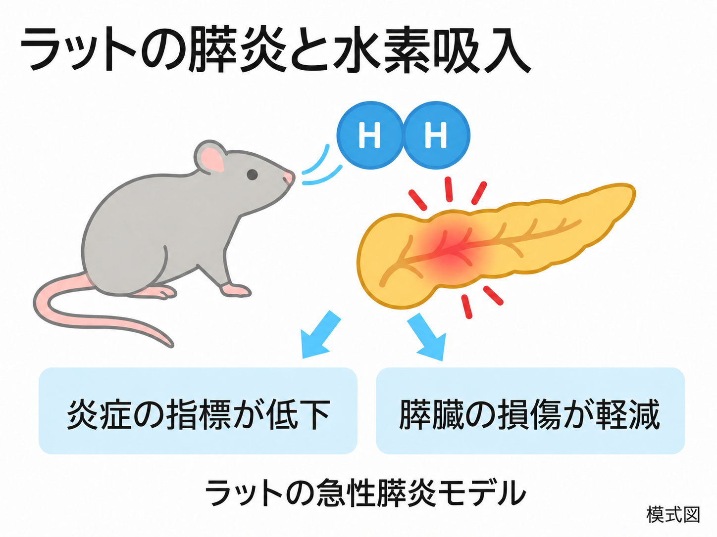 ラットの膵炎と水素吸入の解説図